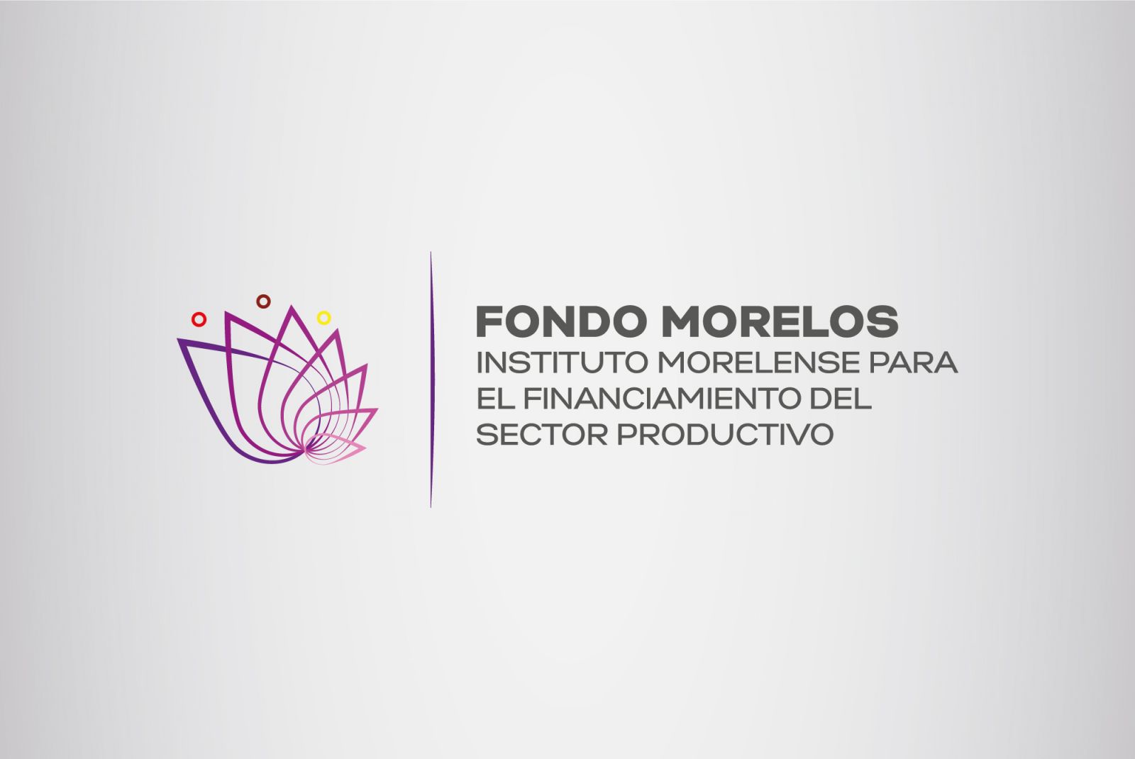 Funcionalidad